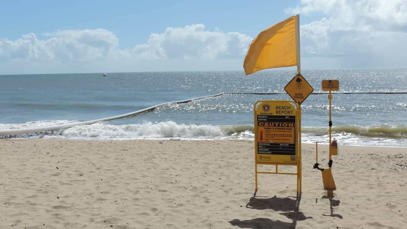 A stinger net enclosure in the water at a tropical beach